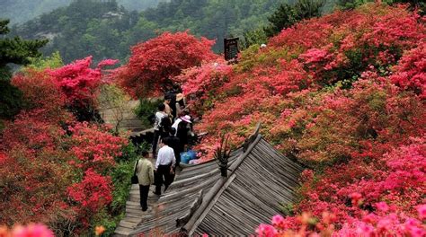 黃岡紅安二級建造師培訓(xùn)、優(yōu)路教育