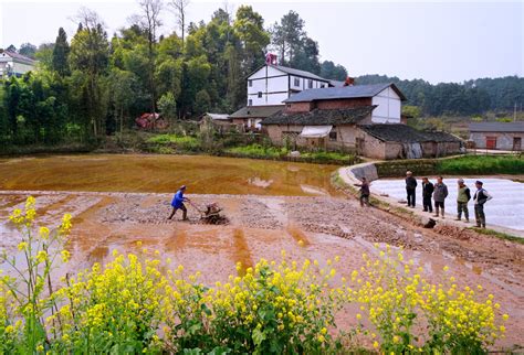 重庆巴南英语四级，实战教学模式加案例学习理念