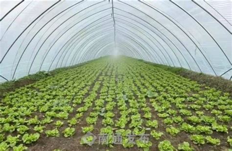 南通如皋商务日语培训、外教授课