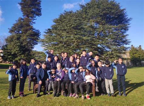 成都会计初级培训学校