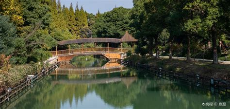 苏州常熟日语能力考培训、入门到精通