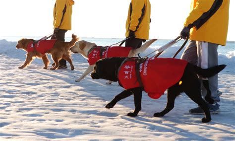 大连培训办公软件