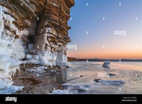大连迪派教育网店运营课程，手把手教学