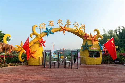 广州从化仁和会计财务会计培训班