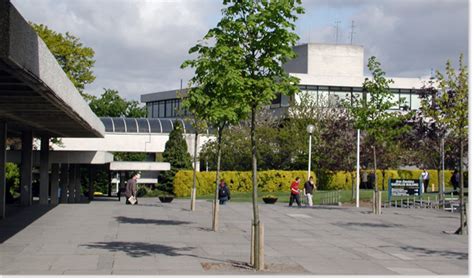 介绍都柏林国际预科学院的热门专业