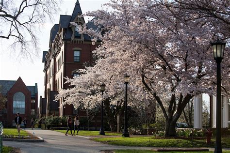 美国留学名校推荐 塔夫斯大学