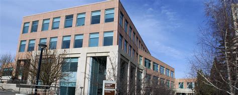 加拿大卡尔加里大学有哪些院系