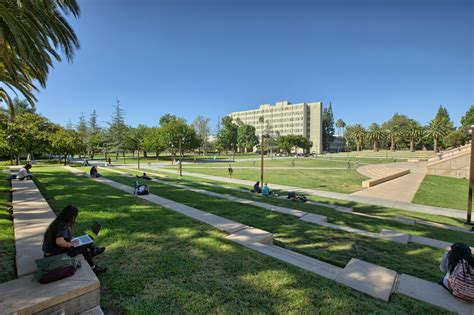 日本羽衣国际大学专业设置