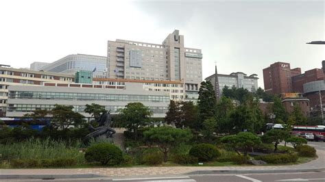 韩国中央大学GSIS专业的全面介绍
