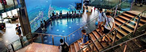 澳洲昆士兰大学的工科留学怎么样