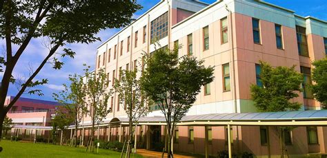 日本好大学推荐：新潟大学