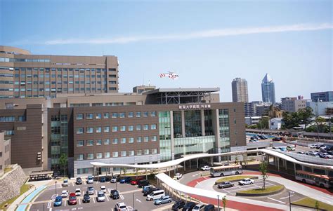 日本新潟大学现代社会文化研究科研究领域一览