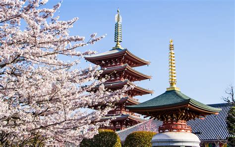 日本太成学院大学学校详解