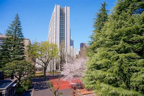 日本西南学院大学学部学科介绍