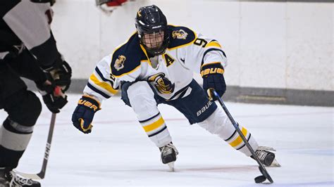 日本星槎大学大学