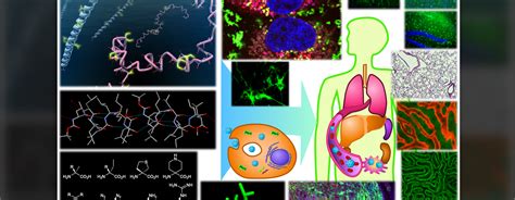 群马县立县民健康科学大学学校官方