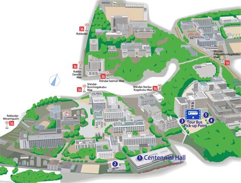 日本神户大学怎么样