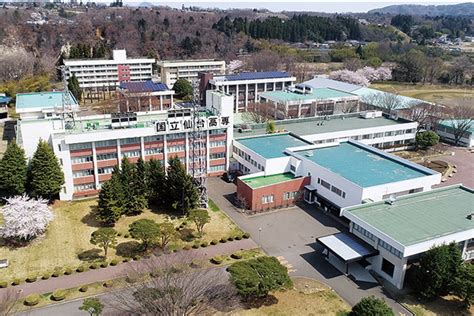 日本仙台大学课程与科系设置介绍