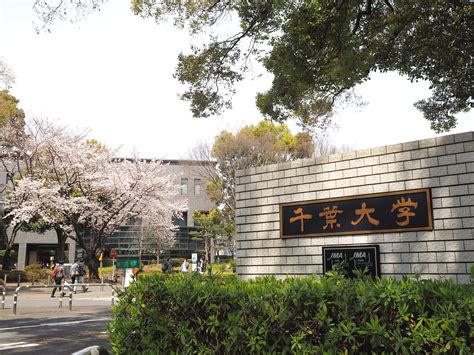 日本名校千叶大学专业设置