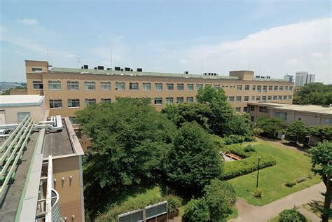 日本千叶大学的专业设置详解