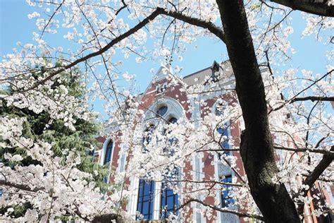 庆应义塾大学概况