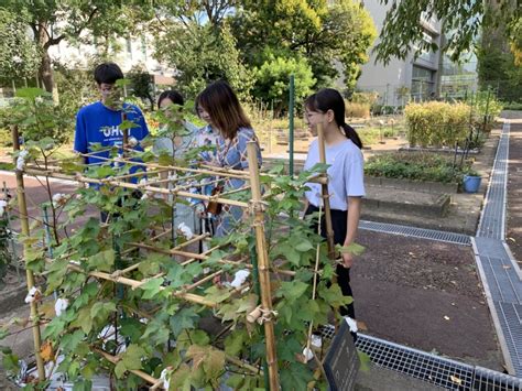 名古屋市立大学院系设置及留学生活费用详解