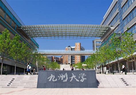 九州大学院系解读