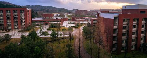日本金泽大学学院及专业设置详解