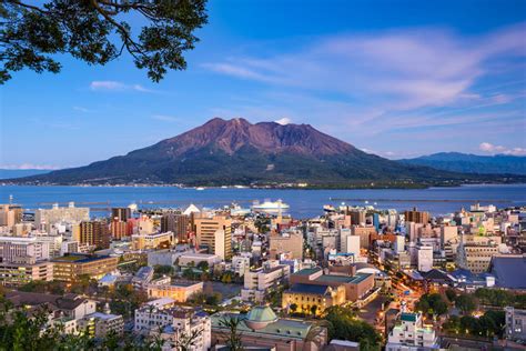 日本鹿儿岛国际大学学校专业介绍