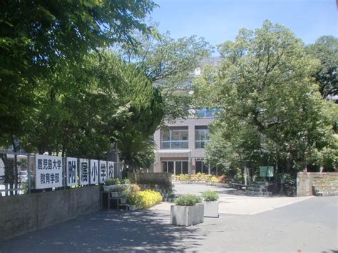 鹿儿岛国际大学是一所日本的私立大学