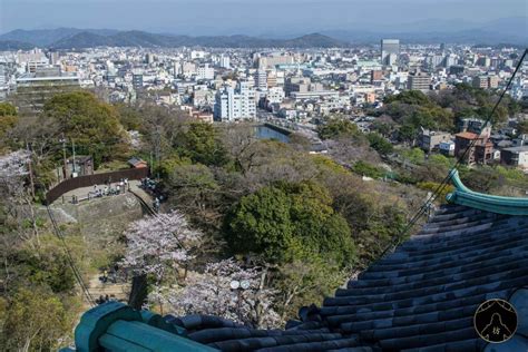 日本留学：和歌山大学专业设置