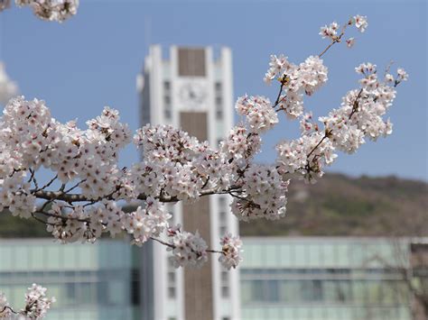 冈山大学留学申请条件有哪些