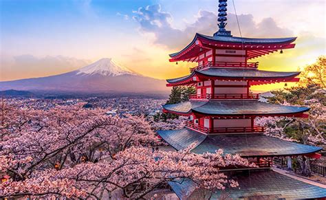 日本富士常叶大学留学课程设置