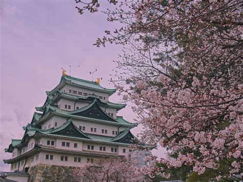 日本爱知医科大学学校特色介绍
