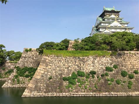 日本城西大学课程设置详解