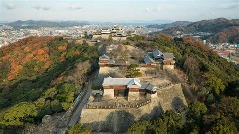 日本城西国际大学的专业设置