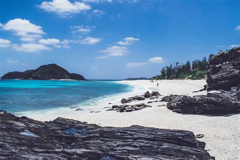 日本冲绳国际大学是一所位于冲绳县的私立大学