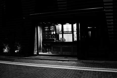 日本白鸥大学学校