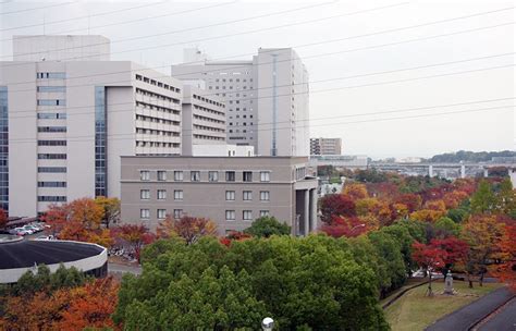 日本留学 大阪国际大学留学生别科的最新介绍