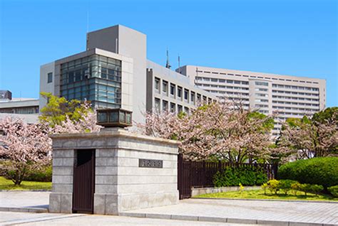 日本大阪艺术大学学部科系介绍