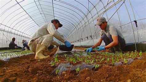 日本留学：解析东京农工大学农业生物学专业