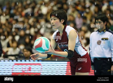 日本东京成德大学专业设置解析