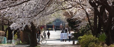 日本留学东京农工大学与东京农业大学区别是什么