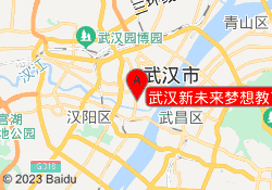 武汉新未来梦想教育