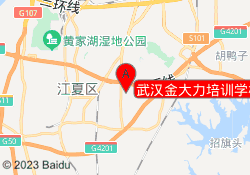 武汉金大力培训学校