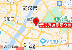 武汉奥德曼夏令营