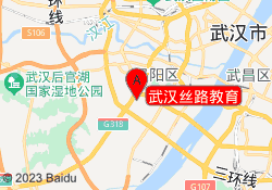 武汉丝路教育