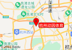 杭州动因体育