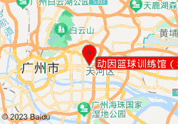 动因篮球训练馆（华农店）