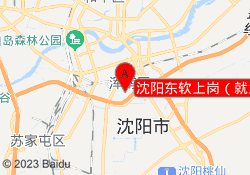 沈阳东软上岗（就业类）培训